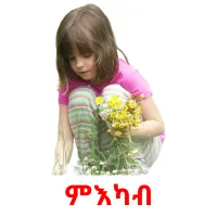 ምእካብ Tarjetas didacticas