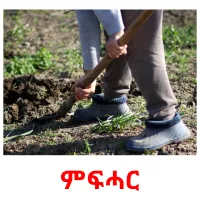 ምፍሓር Tarjetas didacticas