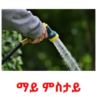 ማይ ምስታይ picture flashcards