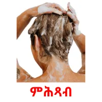 ምሕጻብ picture flashcards
