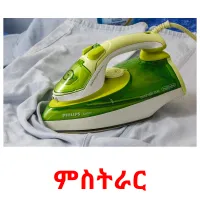 ምስትራር picture flashcards