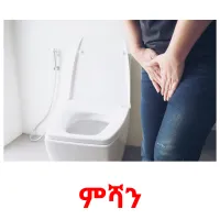 ምሻን picture flashcards