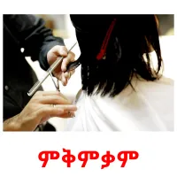 ምቅምቃም picture flashcards