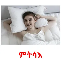 ምትሳእ picture flashcards