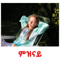 ምዝናይ picture flashcards