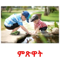 ምጽዋት picture flashcards