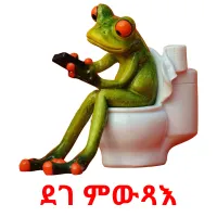 ደገ ምውጻእ picture flashcards