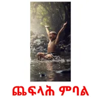 ጨፍላሕ ምባል picture flashcards