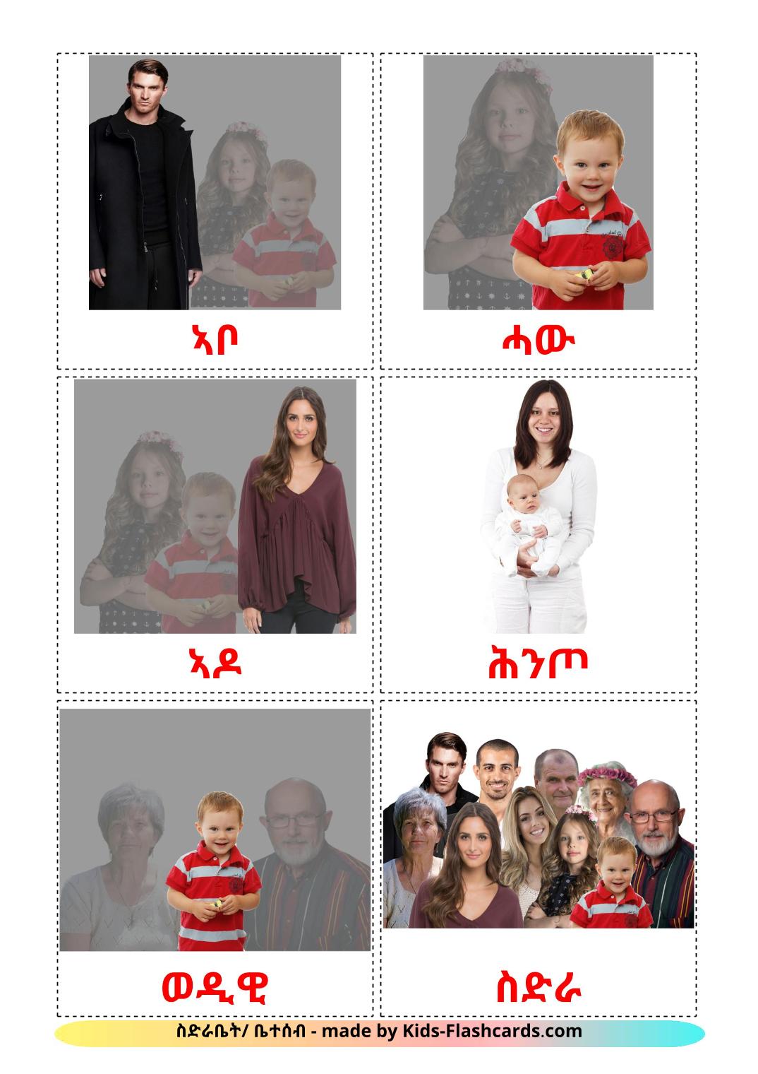 Membros da família - 32 Flashcards tigrignaes gratuitos para impressão