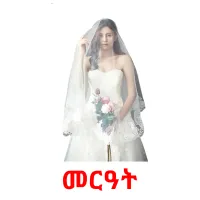 መርዓት Bildkarteikarten