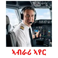 ኣብራሪ ኣየር flashcards illustrate