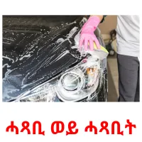 ሓጻቢ ወይ ሓጻቢት kuvakortit