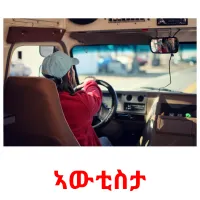 ኣውቲስታ kuvakortit