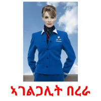 ኣገልጋሊት በረራ kuvakortit