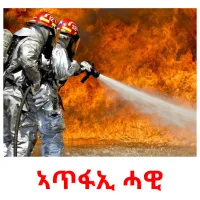 ኣጥፋኢ ሓዊ kuvakortit