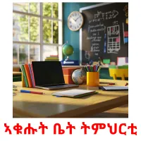 ኣቁሑት ቤት ትምህርቲ Bildkarteikarten