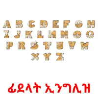 ፊደላት ኢንግሊዝ Bildkarteikarten