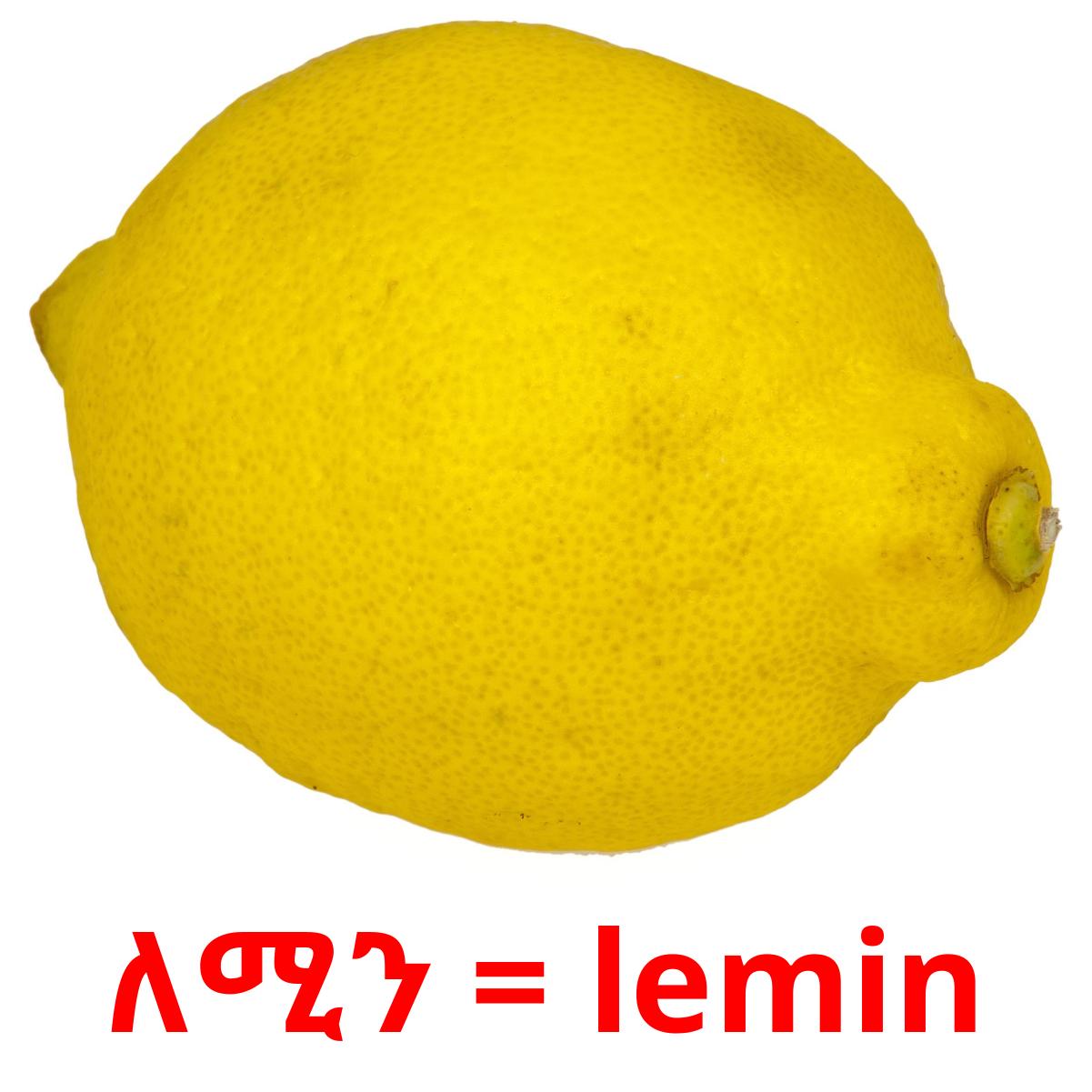 ለሚን = lemin карточки энциклопедических знаний