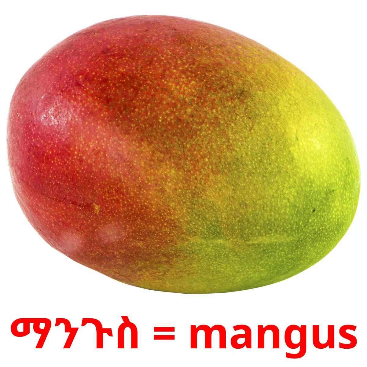 ማንጉስ = mangus карточки энциклопедических знаний