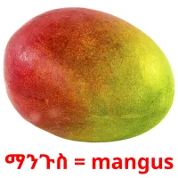 ማንጉስ = mangus карточки энциклопедических знаний