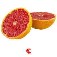 ፍ карточки энциклопедических знаний