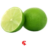 ፍ карточки энциклопедических знаний