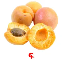 ፍ карточки энциклопедических знаний