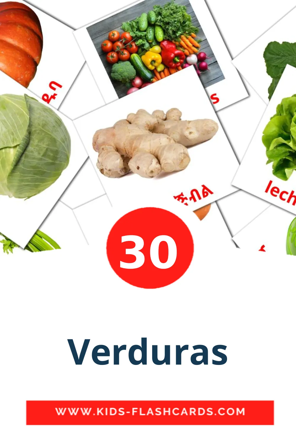 30 Cartões com Imagens de Verduras para Jardim de Infância em tigrigna