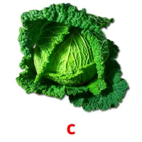 c cartões com imagens