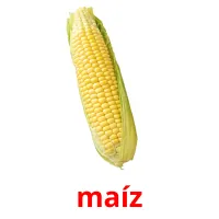 maíz cartões com imagens