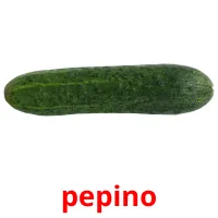 pepino cartões com imagens