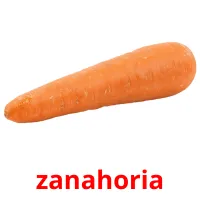 zanahoria cartões com imagens