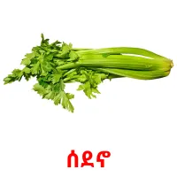 ሰደኖ cartões com imagens