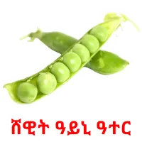 ሸዊት ዓይኒ ዓተር cartões com imagens