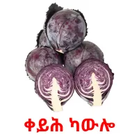 ቀይሕ ካውሎ cartões com imagens