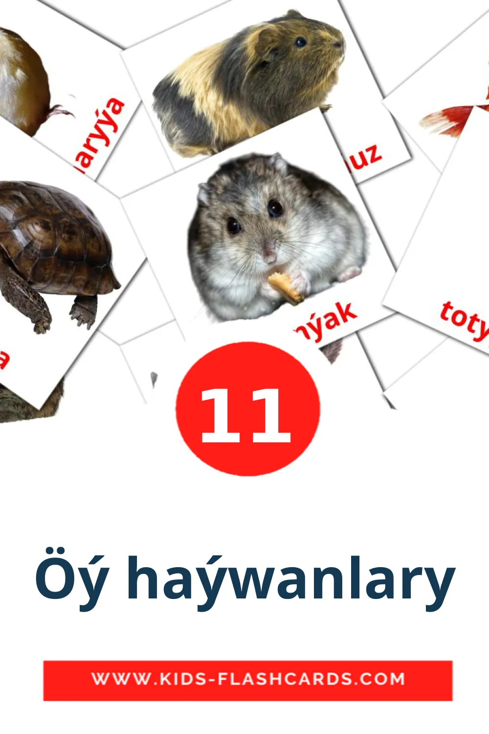 Öý haýwanlary на туркменском для Детского Сада (11 карточек)