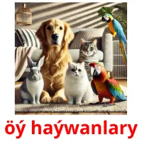 öý haýwanlary карточки энциклопедических знаний