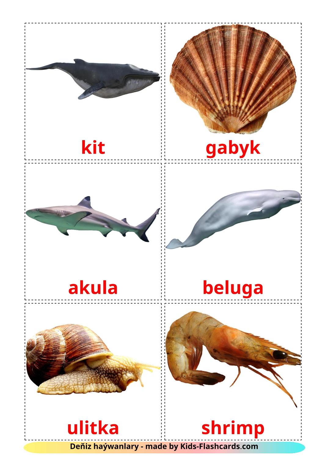 Animales Marinos - 30 fichas de turcomano para imprimir gratis 