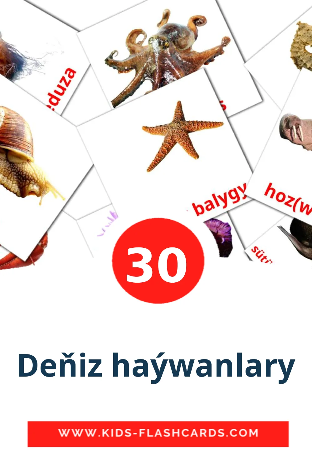 30 tarjetas didacticas de Deňiz haýwanlary para el jardín de infancia en turcomano