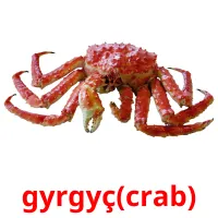 gyrgyç(crab) Tarjetas didacticas
