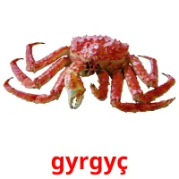 gyrgyç Bildkarten für Kinder