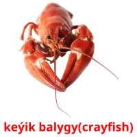 keýik balygy(crayfish) Tarjetas didacticas