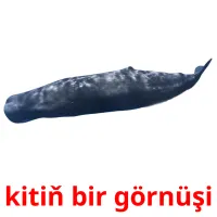 kitiň bir görnüşi Tarjetas didacticas