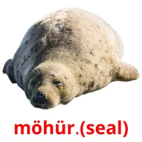 möhür.(seal) Tarjetas didacticas
