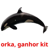 orka, ganhor kit Tarjetas didacticas