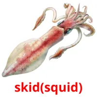 skid(squid) Tarjetas didacticas