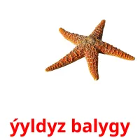 ýyldyz balygy Tarjetas didacticas