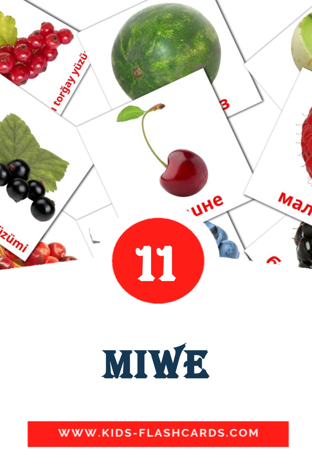11 tarjetas didacticas de Miwe para el jardín de infancia en turcomano