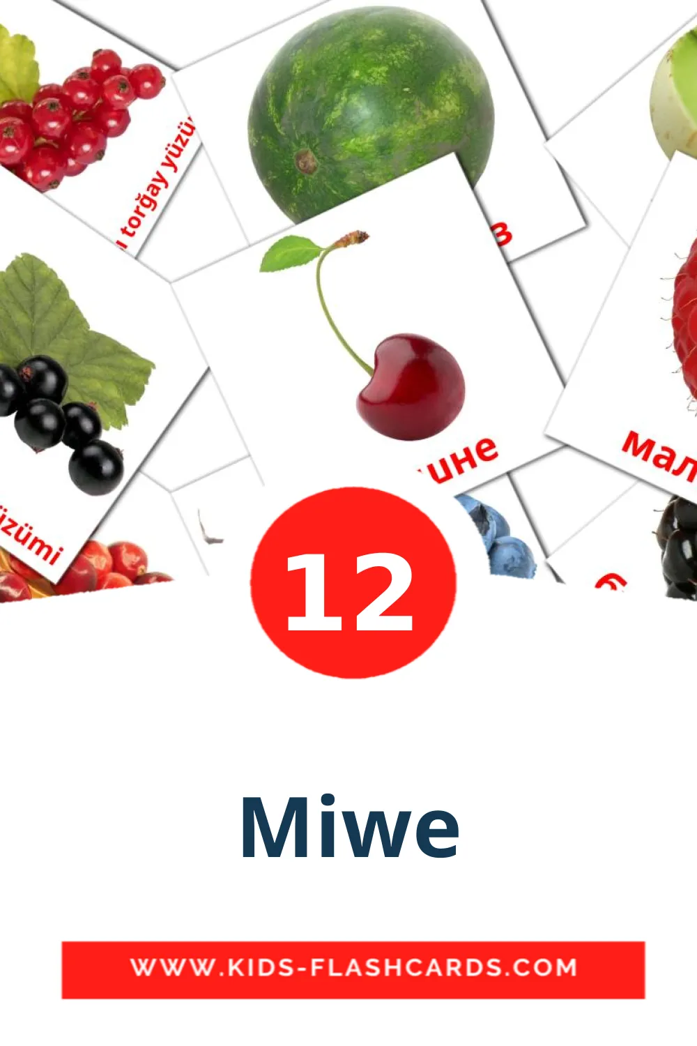 12 Miwe Picture Cards for Kindergarden in turkmen