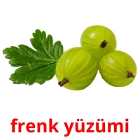 frenk yüzümi picture flashcards